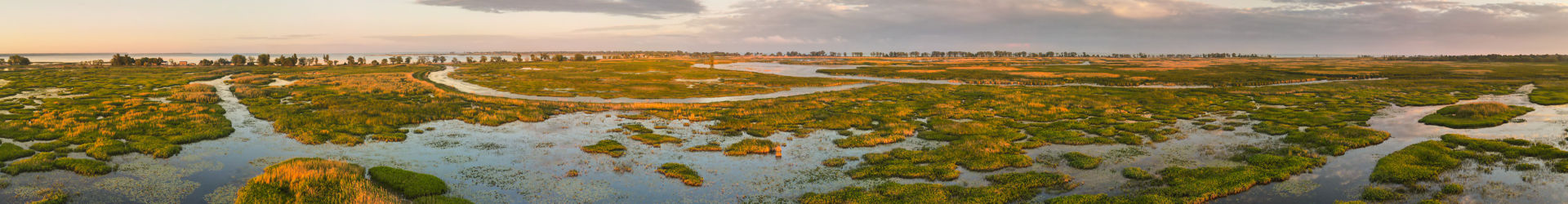 Wetlands Shutterstock 2012296061