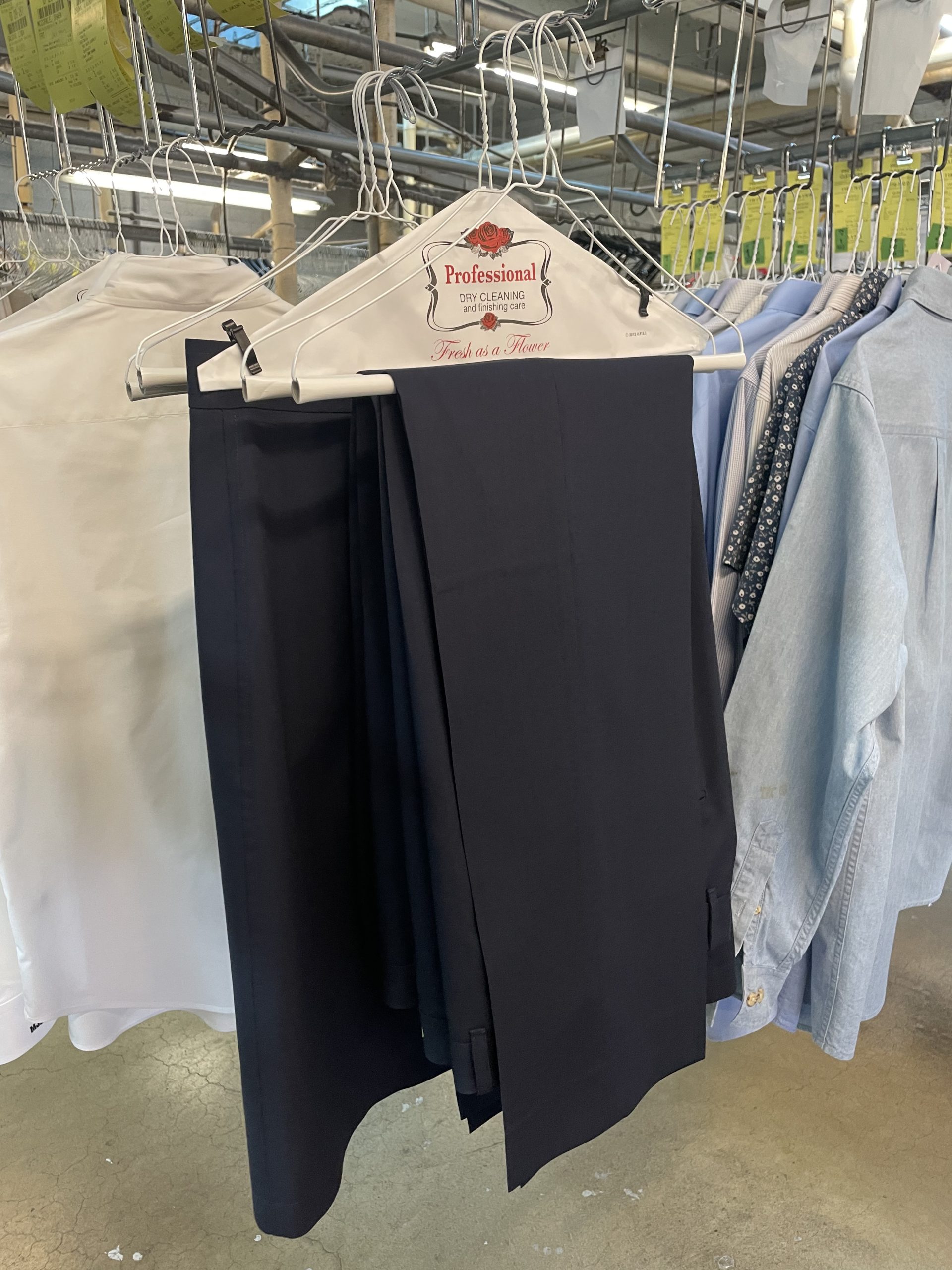 Professional dry cleaning dress pants
